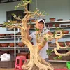 vuong.cl