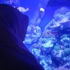 zuhairanasir
