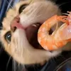 usernoname_252