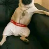 sergeypanchenko23