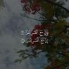 nasab_ciiltira99
