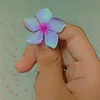 nehashikder1234