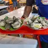 salmnaazlan