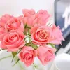 husseinaliet2