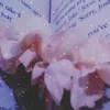 secretsoul404