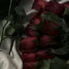 diiya000