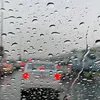 lauya_dhj0