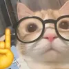 yzleitot