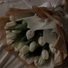 ii8wa_4
