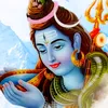 aarohisharma332