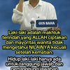 .widjaya08