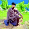 shafqatladla147