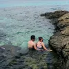 jv_alavar