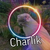 .charlik2