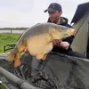 carpistedu50