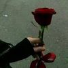 nonaa2456_