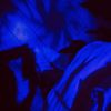iridescentlydani