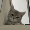 ao__727