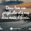 mariafefe_1610