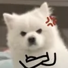 doyounggggggg_