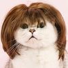 mickiann2.0