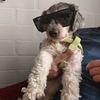 tommy_0317