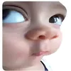 loeve.nxze