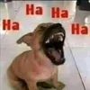 _myemy_