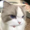maianhxinhyeu
