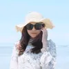dindameili12