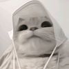 monn_351