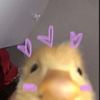 miajmz.mm