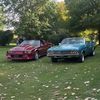 camaro_cole