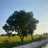 amrajbtw