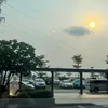 trinhquynhnhu8304
