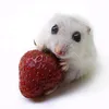 kussia._.2313