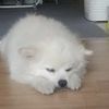 yonghwan486