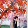 huyen65f1