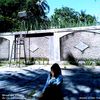 zahiracomel11