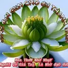 Hanh My🍀🍀🍀