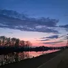 brzozvskii