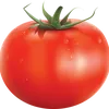 egorpomidorka299