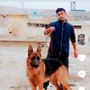 user599025911