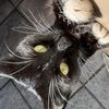 aoife.1234