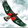 basit_tanoli910