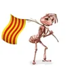 oriol.sala