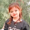 gsgydaw