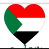 user721954920