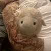 lil_sheep_meh