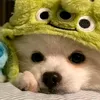 mibonmien_215